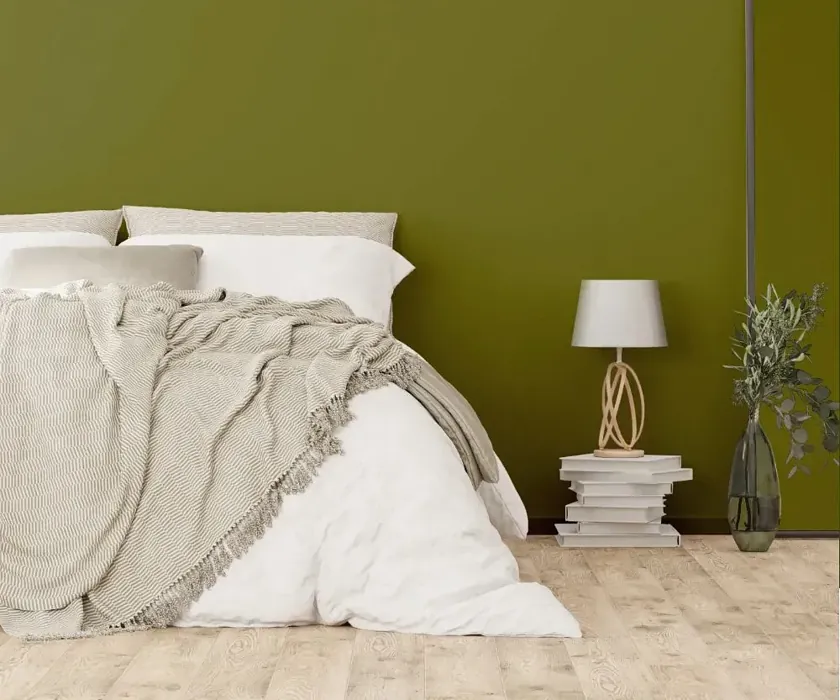 NCS S 5040-G60Y cozy bedroom wall color