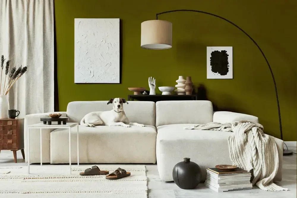 NCS S 5040-G80Y cozy living room