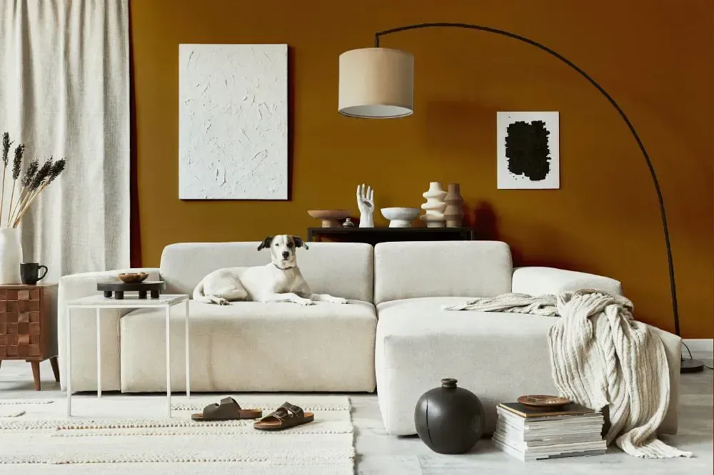 NCS S 5040-Y20R cozy living room