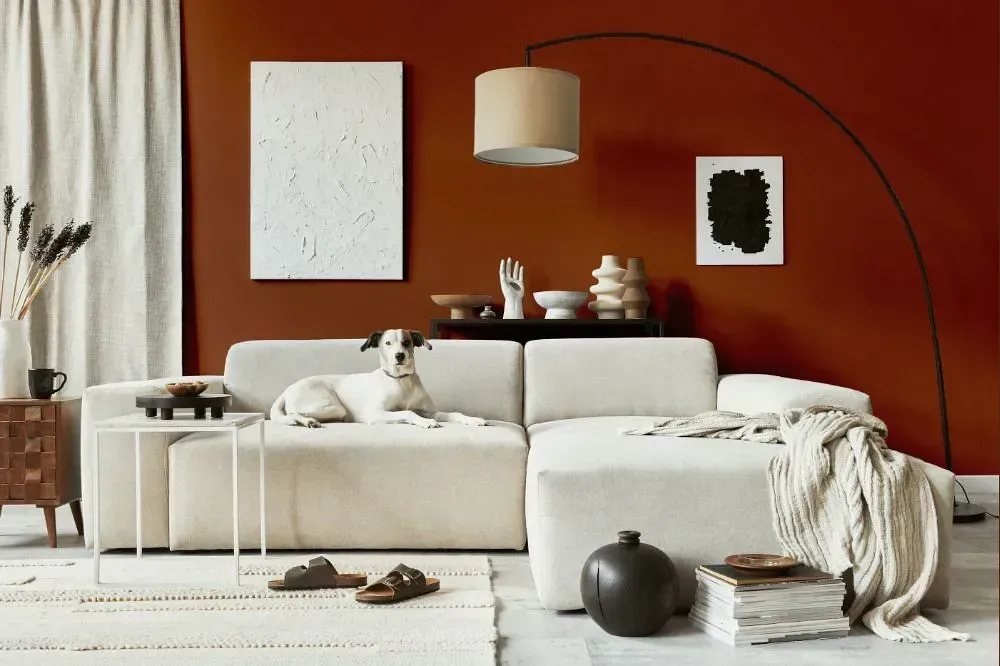 NCS S 5040-Y60R cozy living room