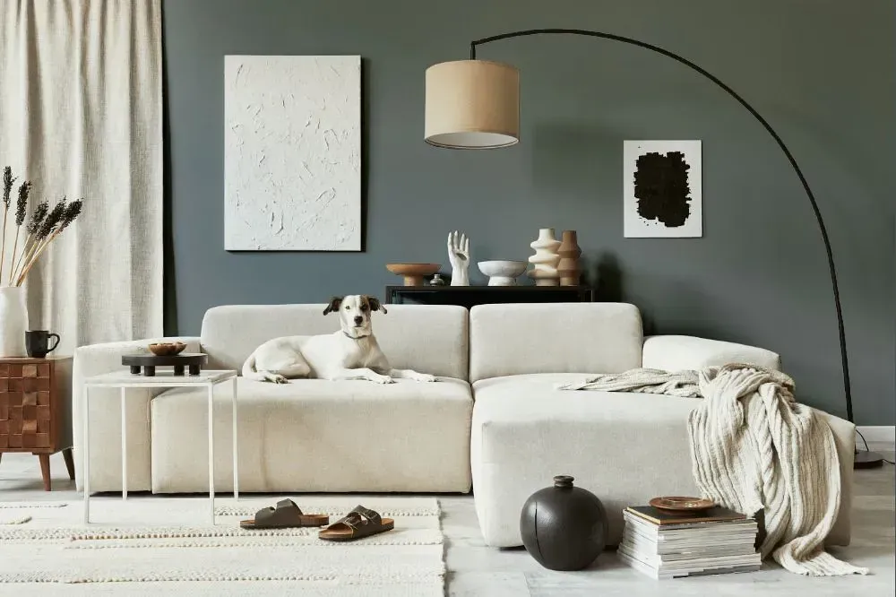 NCS S 5502-B50G cozy living room