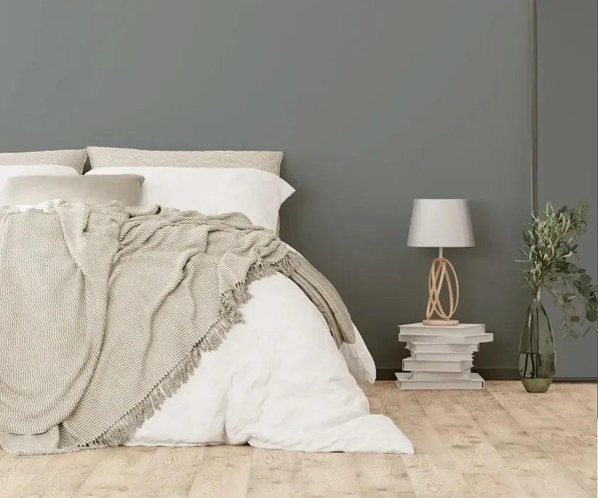 NCS S 5502-B50G cozy bedroom wall color