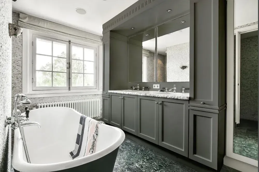 NCS S 5502-G victorian bathroom paint