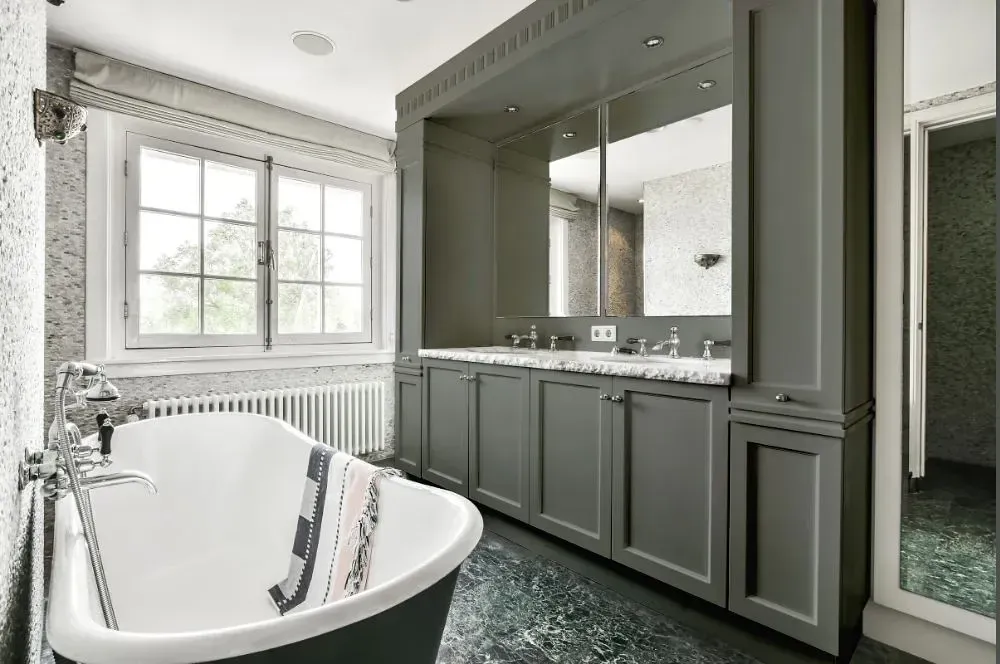 NCS S 5502-G50Y victorian bathroom paint