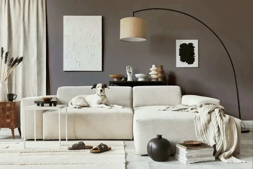 NCS S 5502-R cozy living room