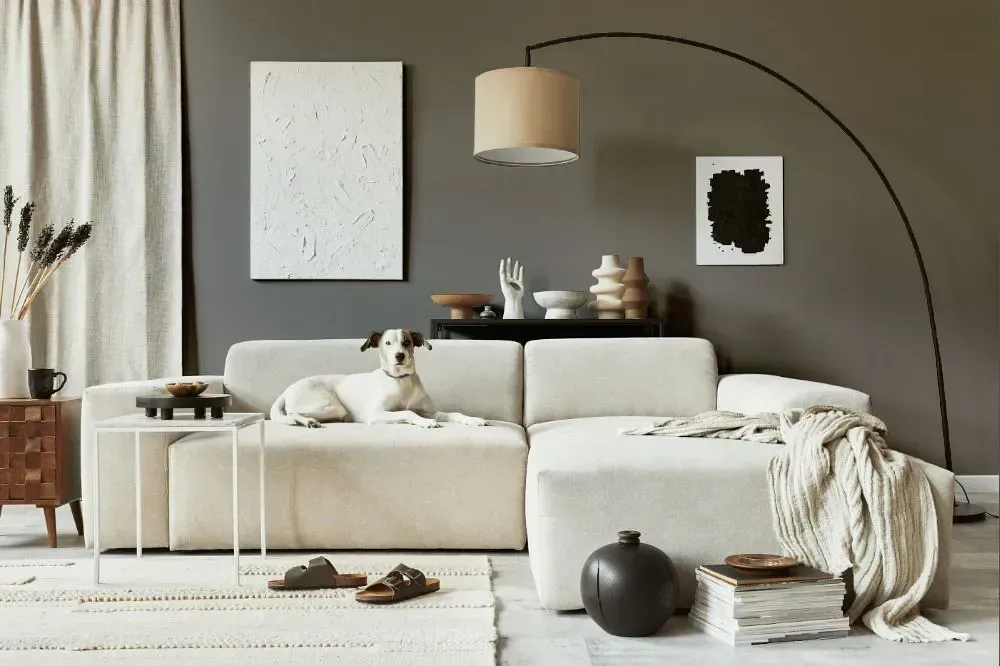 NCS S 5502-Y cozy living room