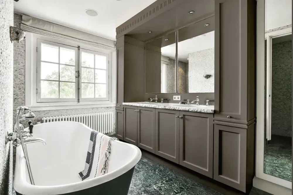 NCS S 5502-Y victorian bathroom paint