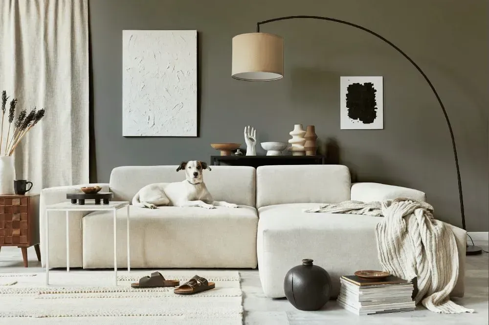 NCS S 5502-Y20R cozy living room