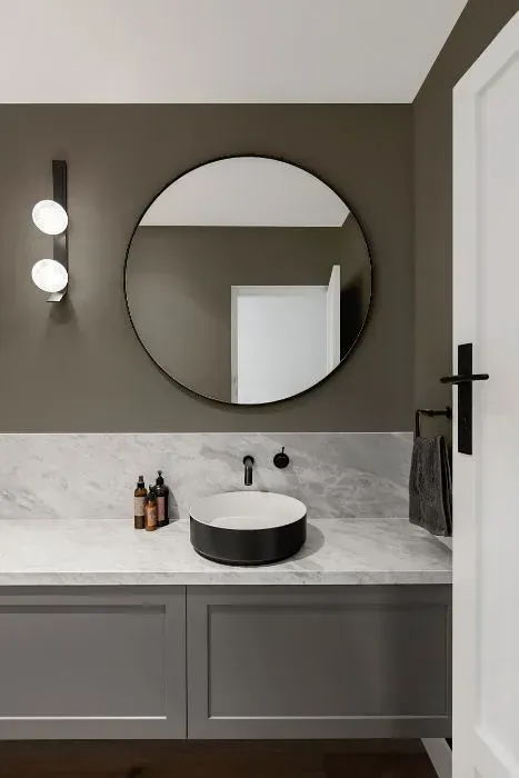 NCS S 5502-Y20R minimalist bathroom