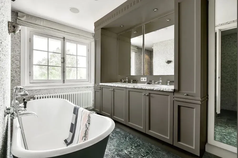 NCS S 5502-Y20R victorian bathroom paint