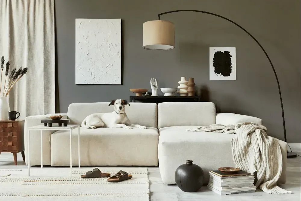 NCS S 5502-Y50R cozy living room