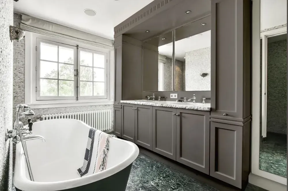 NCS S 5502-Y80R victorian bathroom paint