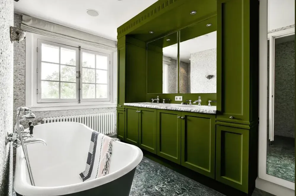 NCS S 5540-G50Y victorian bathroom paint