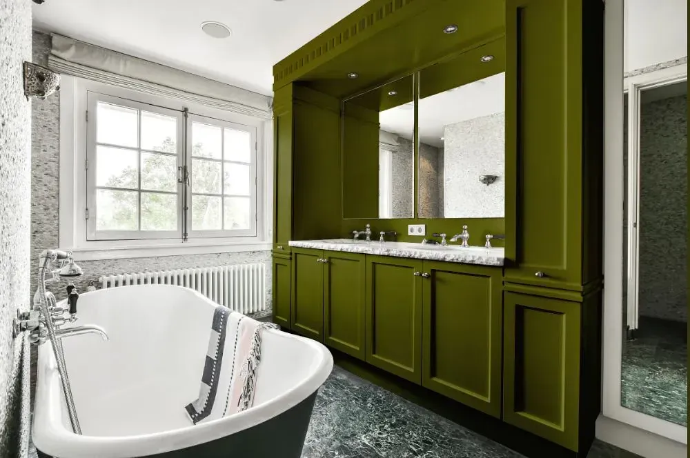 NCS S 5540-G60Y victorian bathroom paint