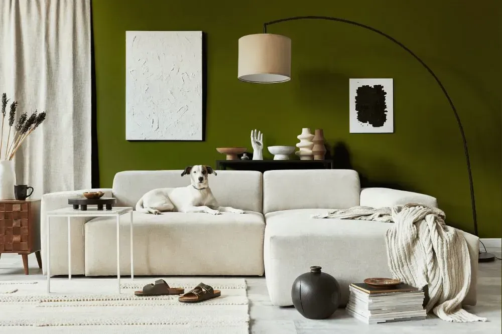 NCS S 5540-G70Y cozy living room