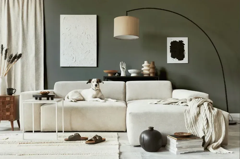 NCS S 6005-G50Y cozy living room