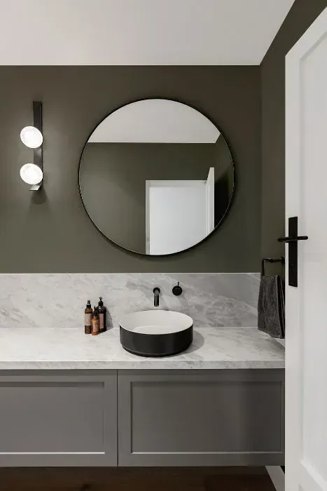 NCS S 6005-G50Y minimalist bathroom