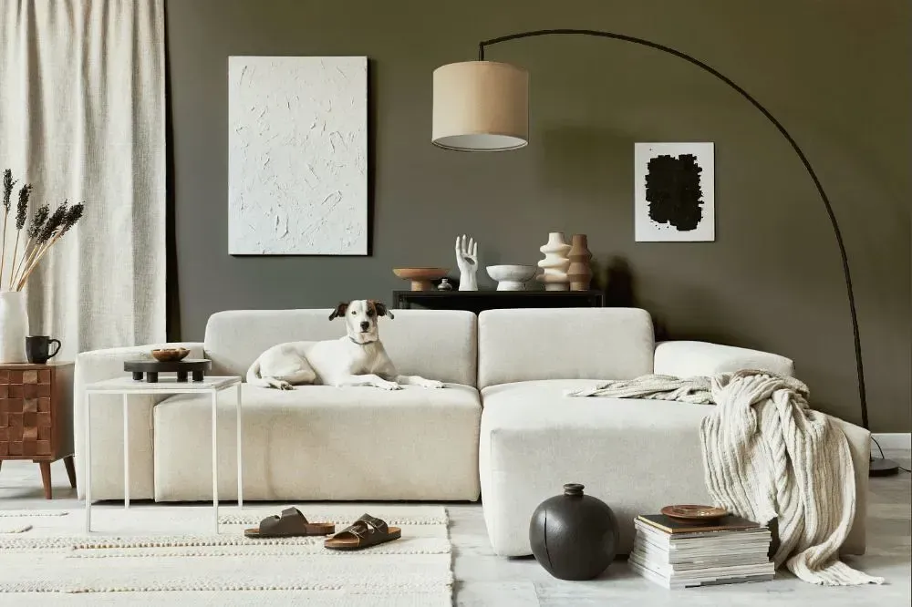 NCS S 6005-Y cozy living room