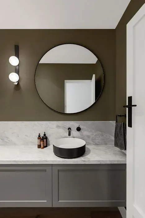 NCS S 6005-Y minimalist bathroom
