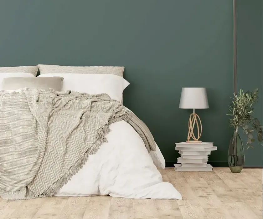 NCS S 6010-B50G cozy bedroom wall color