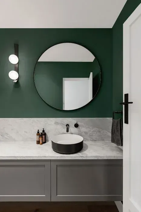 NCS S 6010-B90G minimalist bathroom