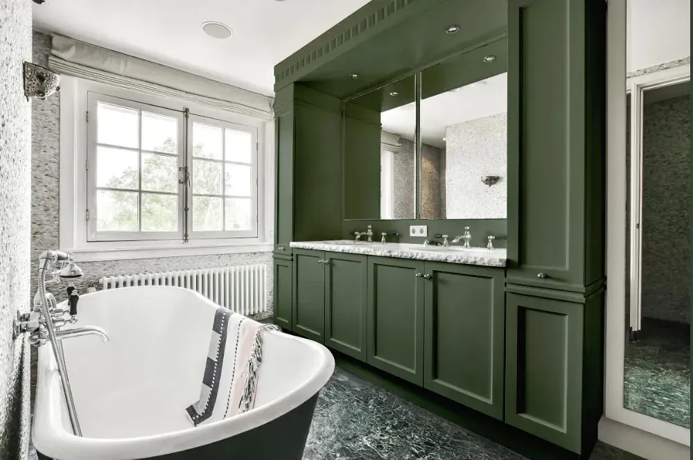 NCS S 6010-G30Y victorian bathroom paint