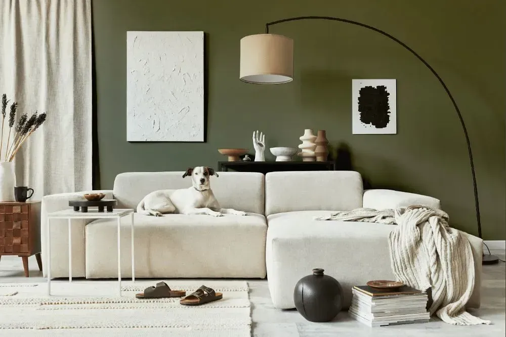 NCS S 6010-G70Y cozy living room