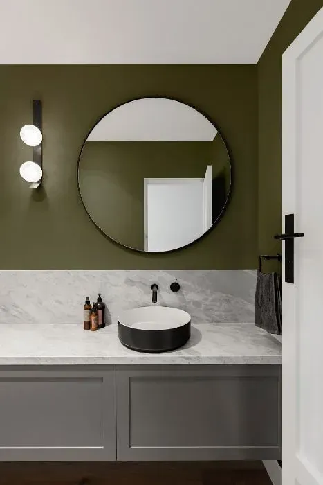 NCS S 6010-G70Y minimalist bathroom