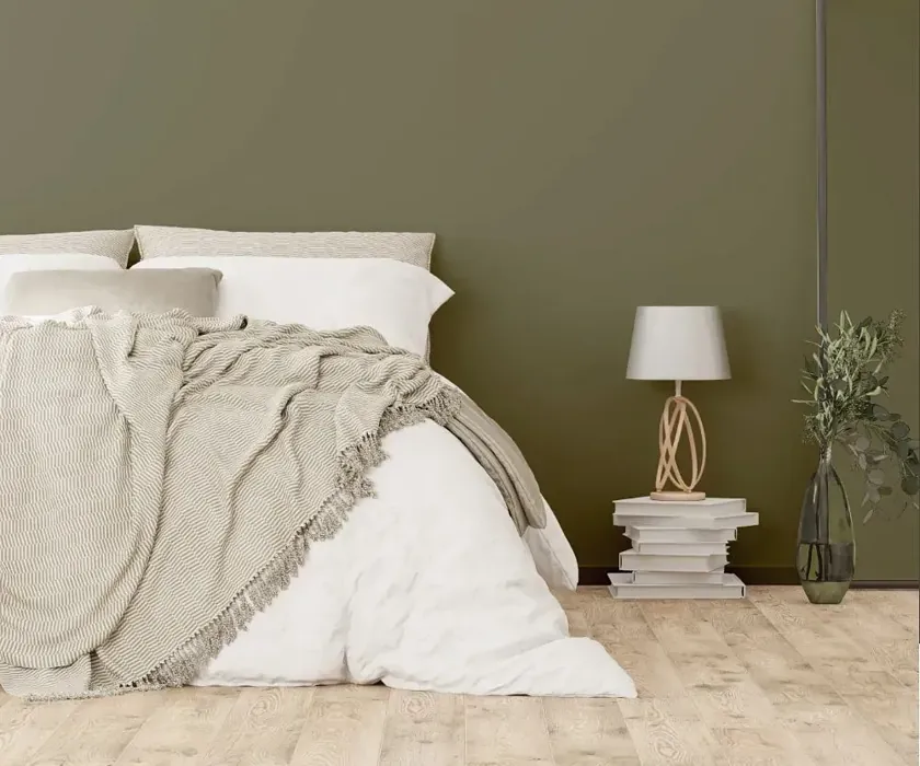 NCS S 6010-G70Y cozy bedroom wall color