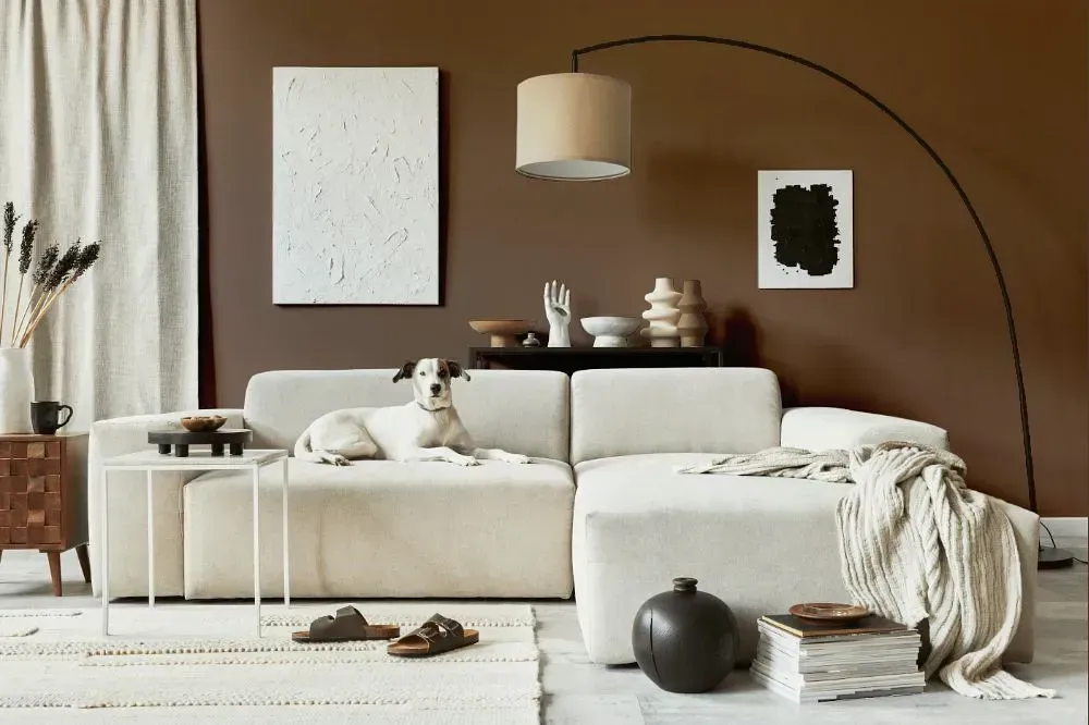 NCS S 6010-Y50R cozy living room