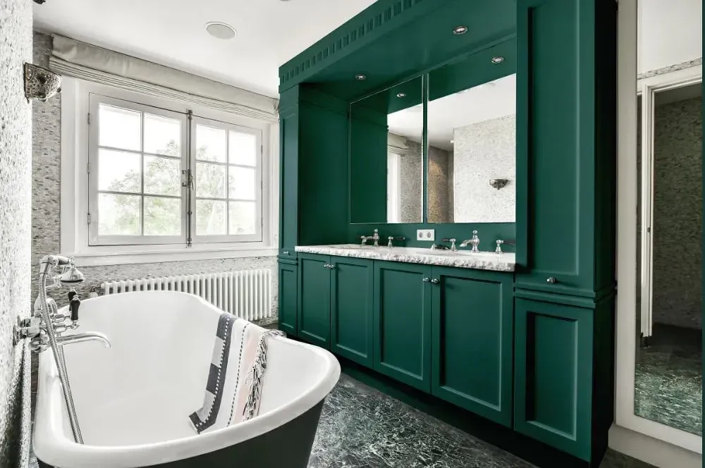 NCS S 6020-B70G victorian bathroom paint