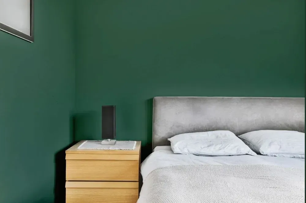 NCS S 6020-G10Y minimalist bedroom