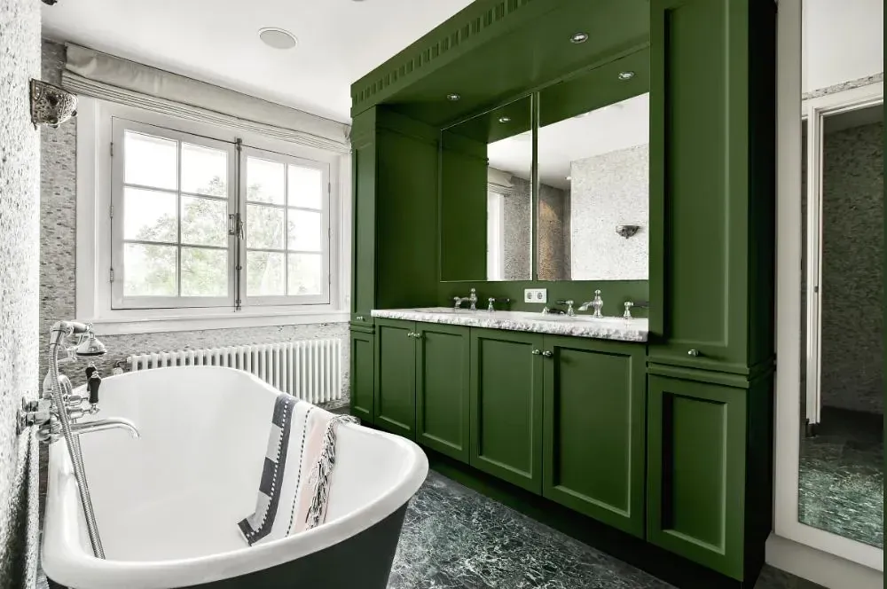 NCS S 6020-G30Y victorian bathroom paint