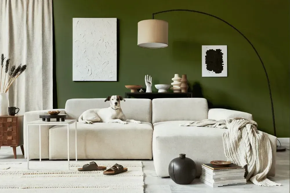 NCS S 6020-G50Y cozy living room