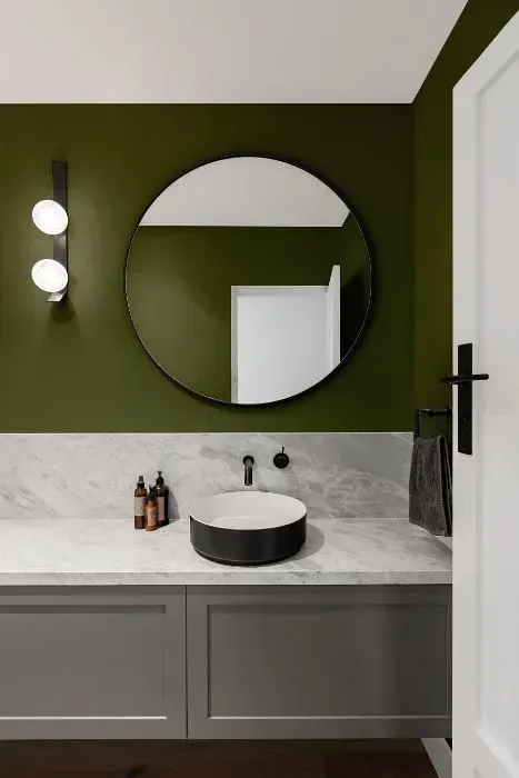 NCS S 6020-G50Y minimalist bathroom