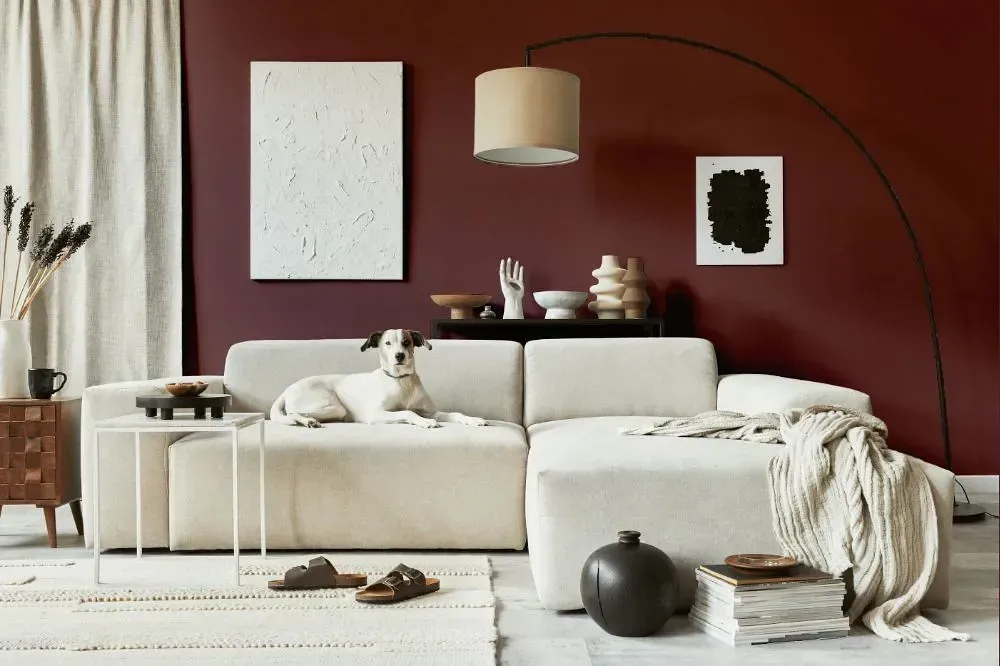 NCS S 6020-R cozy living room