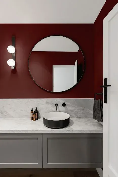 NCS S 6020-R minimalist bathroom