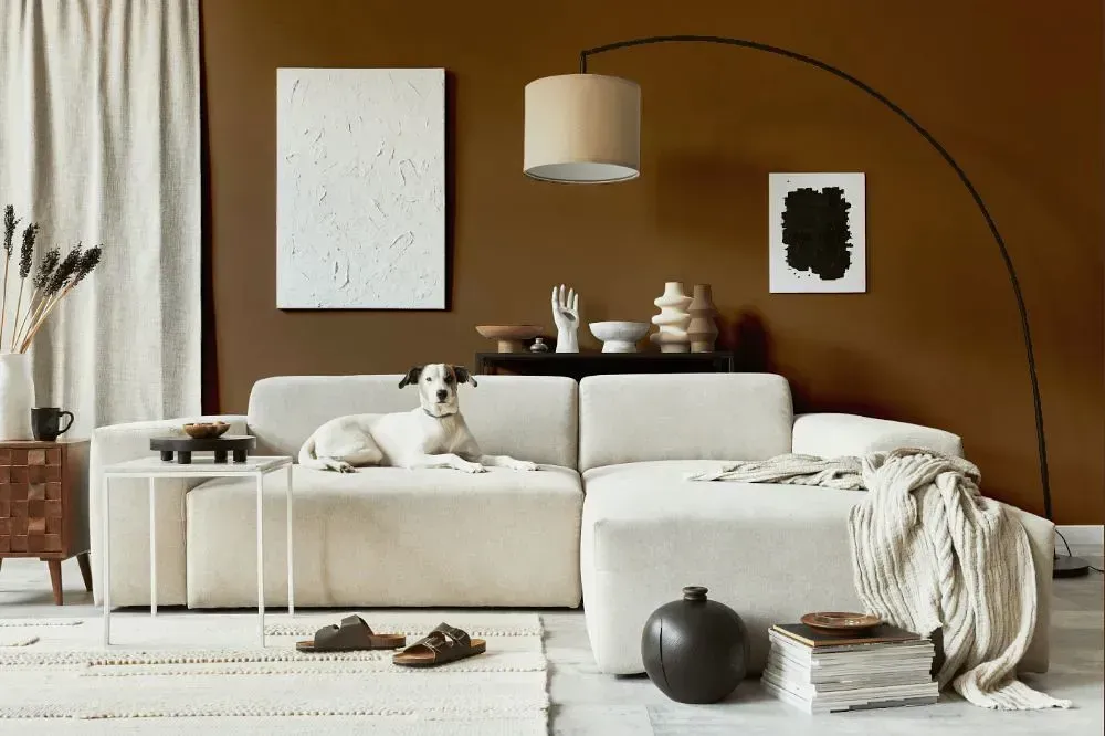 NCS S 6020-Y30R cozy living room
