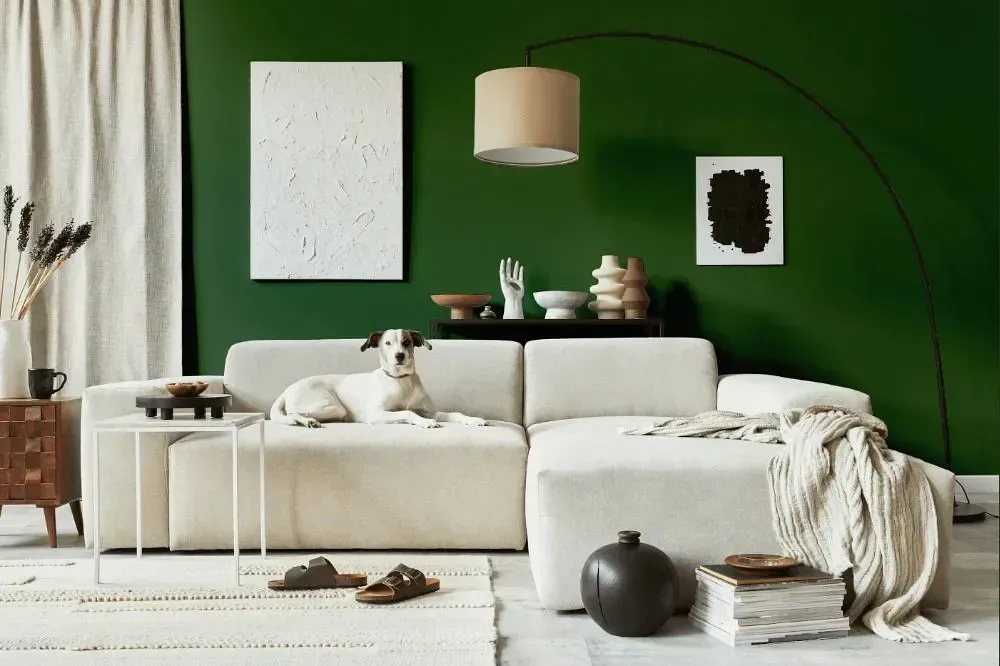 NCS S 6030-G30Y cozy living room