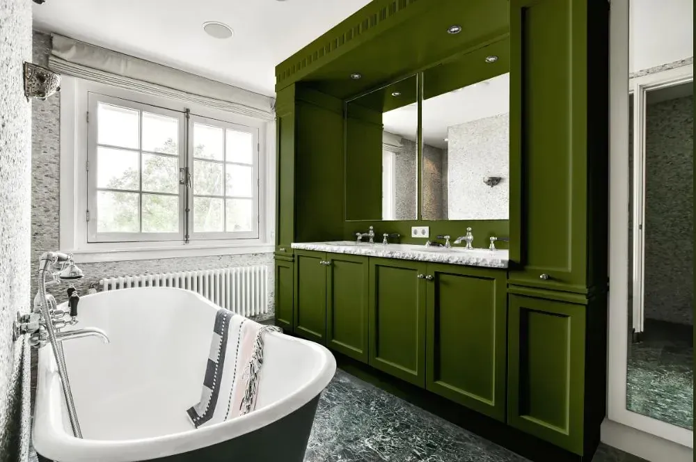 NCS S 6030-G50Y victorian bathroom paint