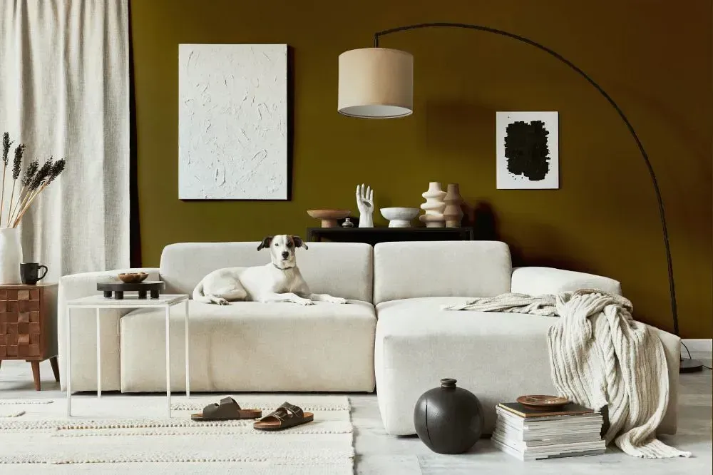 NCS S 6030-Y cozy living room