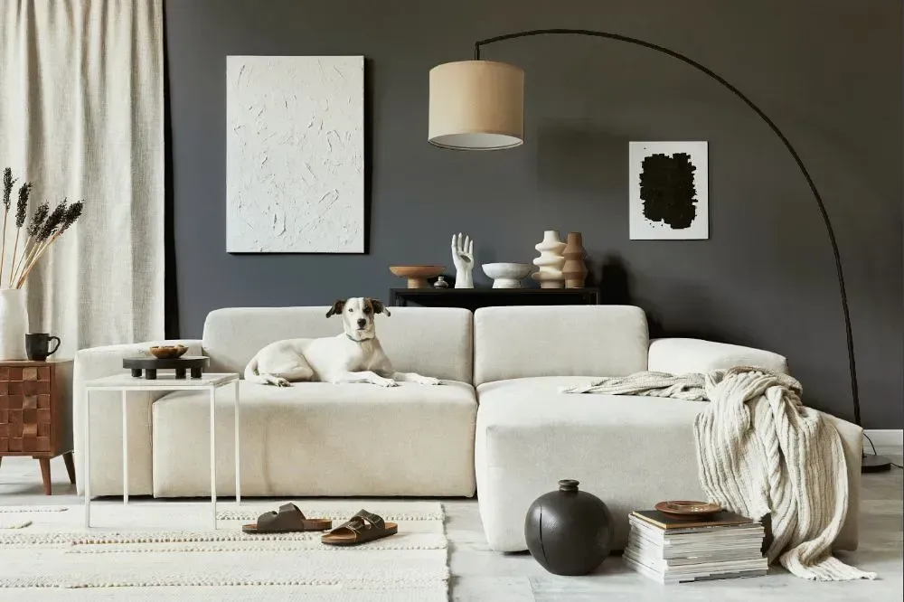 NCS S 6500-N cozy living room