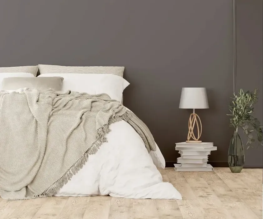NCS S 6500-N cozy bedroom wall color