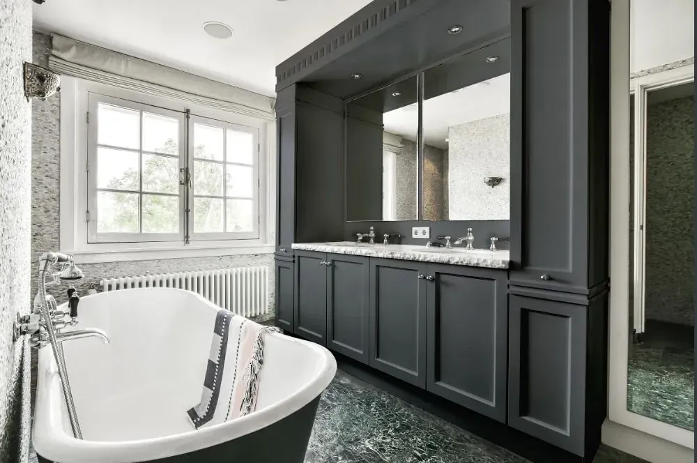 NCS S 6502-B victorian bathroom paint