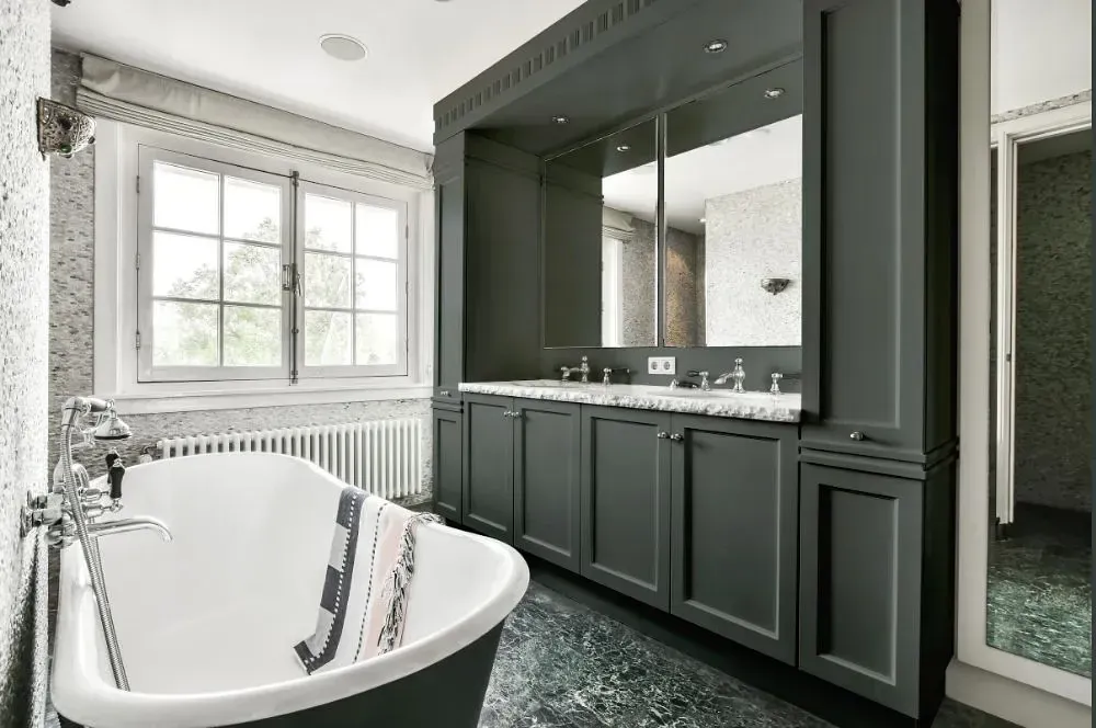 NCS S 6502-G victorian bathroom paint