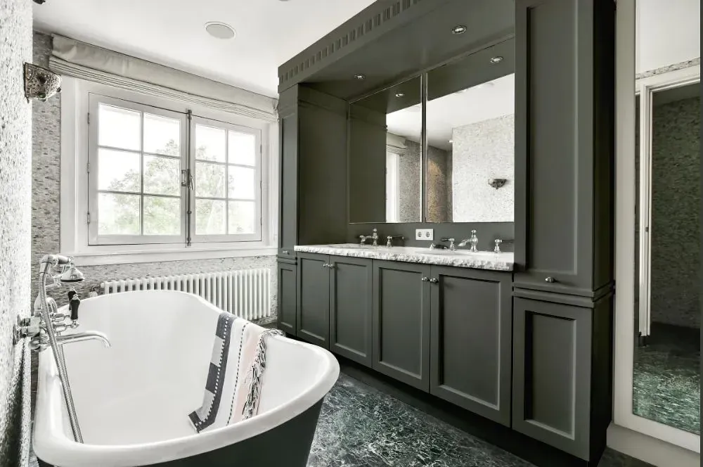 NCS S 6502-G50Y victorian bathroom paint