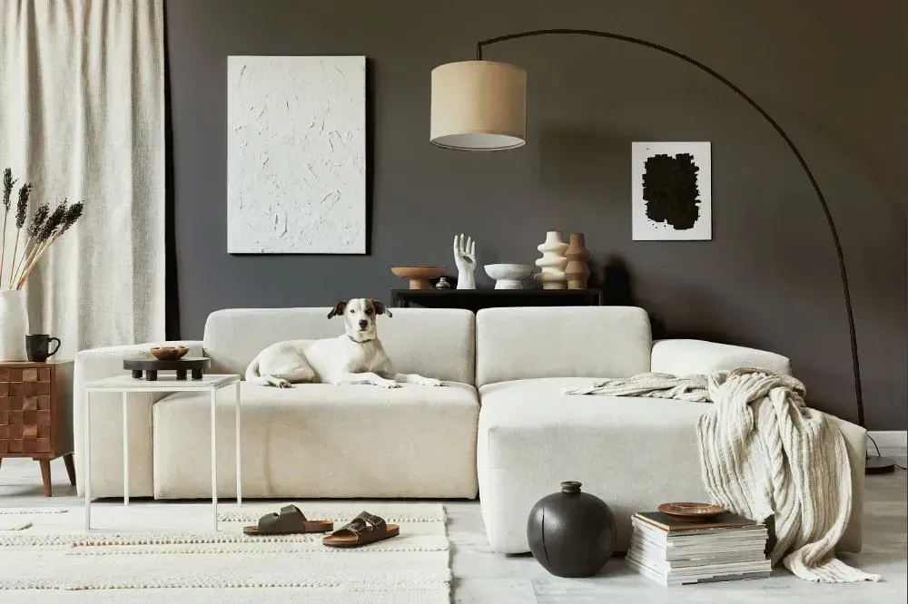 NCS S 6502-Y80R cozy living room