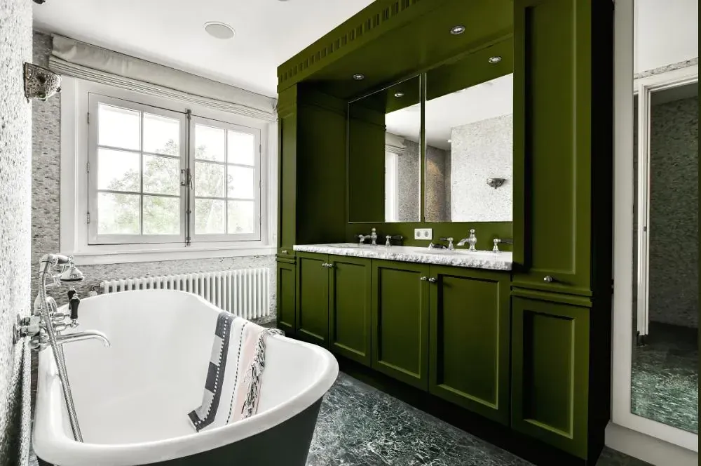 NCS S 6530-G50Y victorian bathroom paint