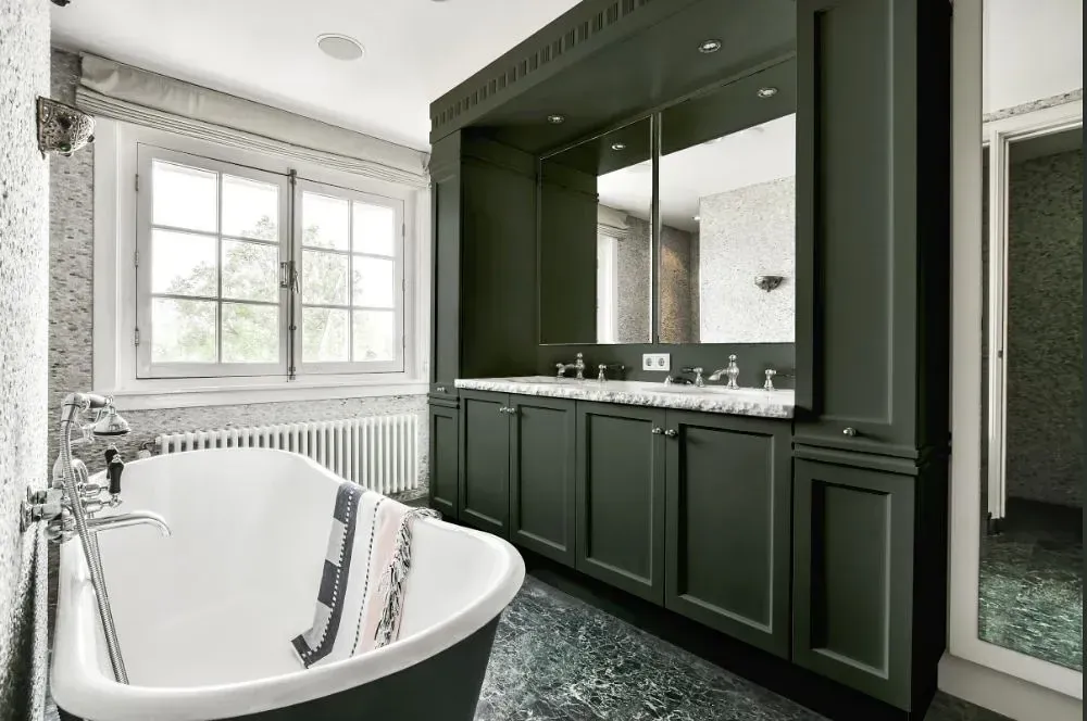 NCS S 7005-G20Y victorian bathroom paint