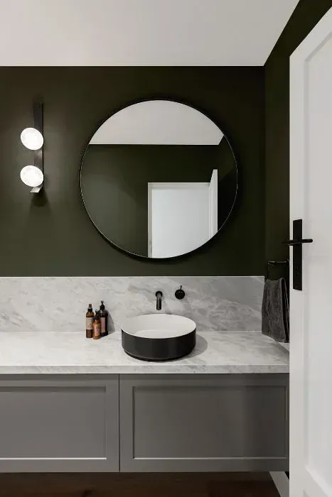 NCS S 7005-G50Y minimalist bathroom